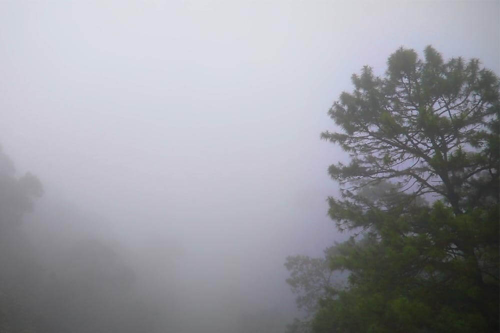 যে কারণে বেড়েছে শীতের তীব্রতা