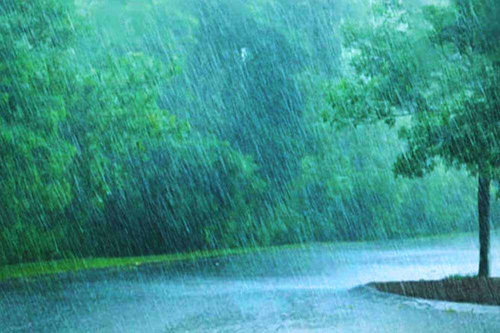 একদিনে তিন হাজার ৩৩৫ মিলিমিটার বৃষ্টি