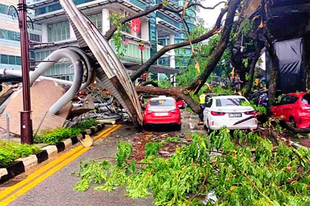 মালয়েশিয়ায় ঝড়ে গাছ পড়ে নিহত ১, ক্ষতিগ্রস্থ ১৭ গাড়ি