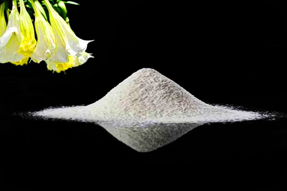 শয়তানের নিশ্বাস কী, এর থেকে বাঁচার কি উপায়?