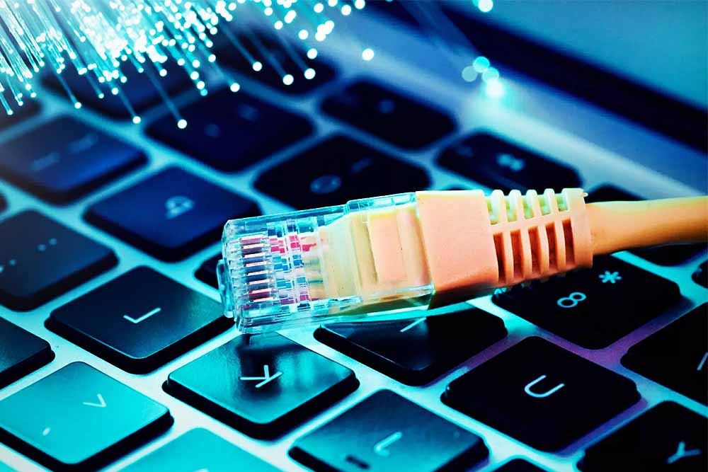 বাংলাদেশে ইন্টারনেট সংযোগ কখন ফিরবে?  কেউ নিশ্চিত করতে পারছে না