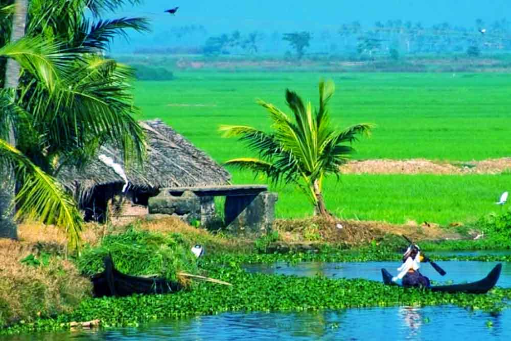 চাষির হাতে পরিশ্রম, আনে বয়ে সোনার ধন