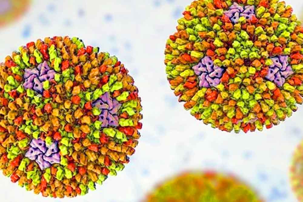 দেশে ৫ জনের শরীরে প্রথমবারের মত রিওভাইরাস শনাক্ত