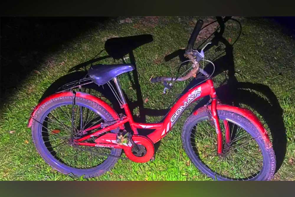 মালয়েশিয়ায় বাইসাইকেলে গাড়ির ধাক্কায় ২ বাংলাদেশি নিহত