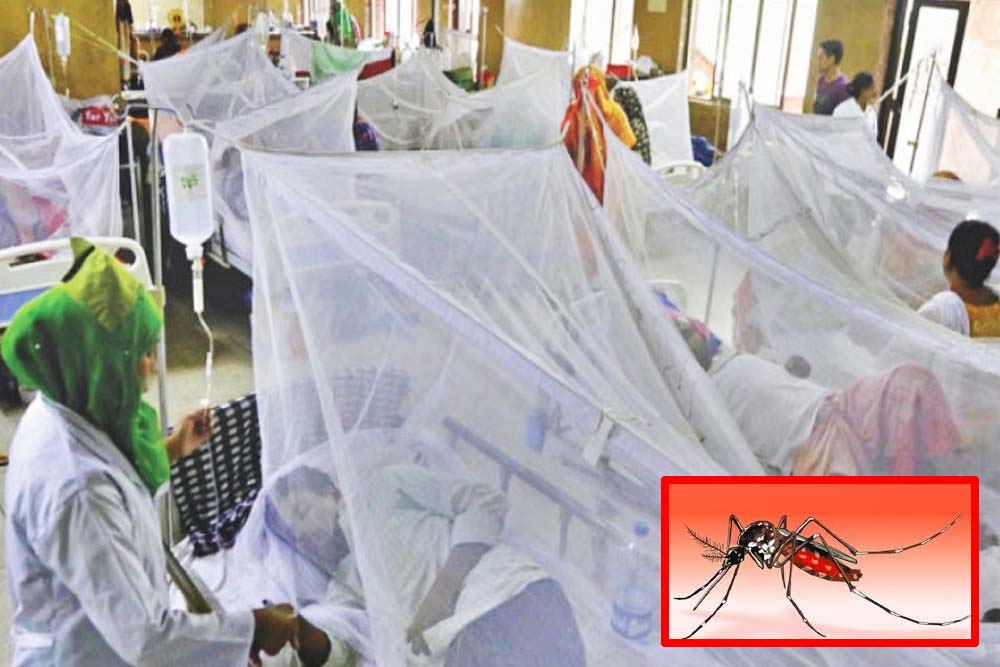 ডেঙ্গুতে ১২ জনের মৃত্যু, হাসপাতালে ভর্তি ৭৪০