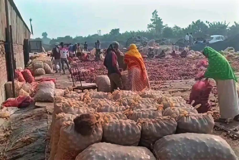 বাংলাদেশ সীমান্তে পচছে ৩০ হাজার টন ভারতীয় পেঁয়াজ, রপ্তানি বন্ধ