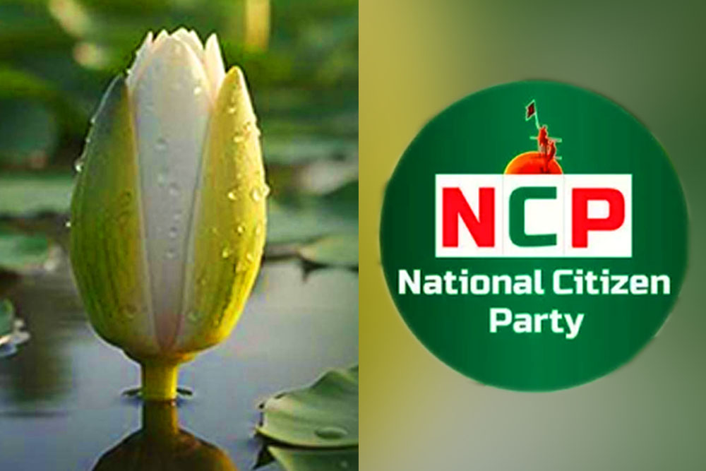 এনসিপি নিতে সম্মত প্রতীক হিসেবে ‘শাপলা কলি’