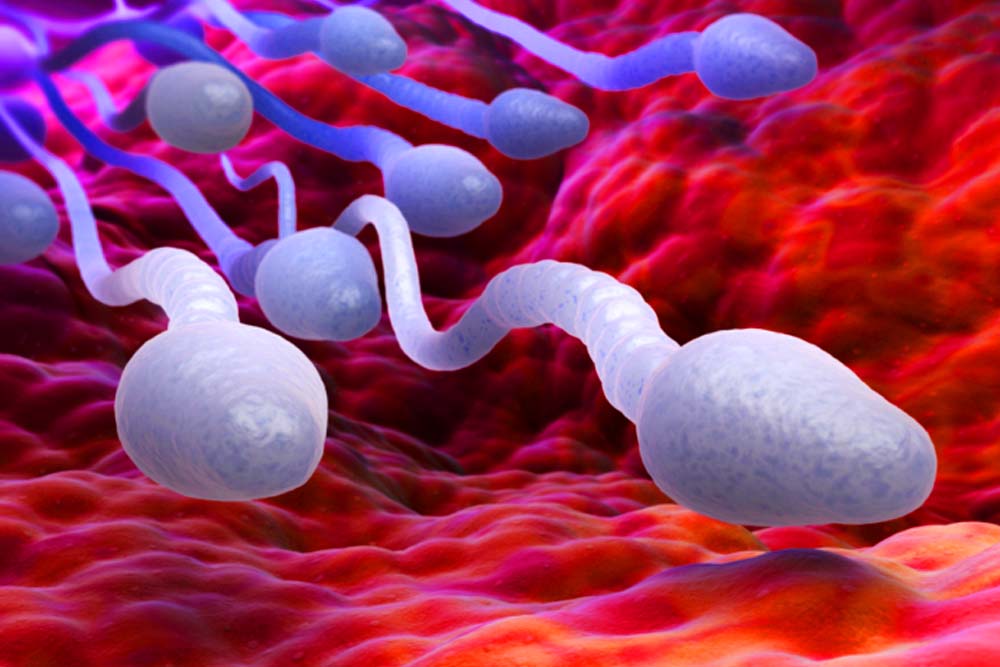 এক দাতার শুক্রাণু থেকে ক্যানসারের ঝুঁকিতে থাকা ২০০ শিশুর জন্ম : ইউরোপজুড়ে চাঞ্চল্য