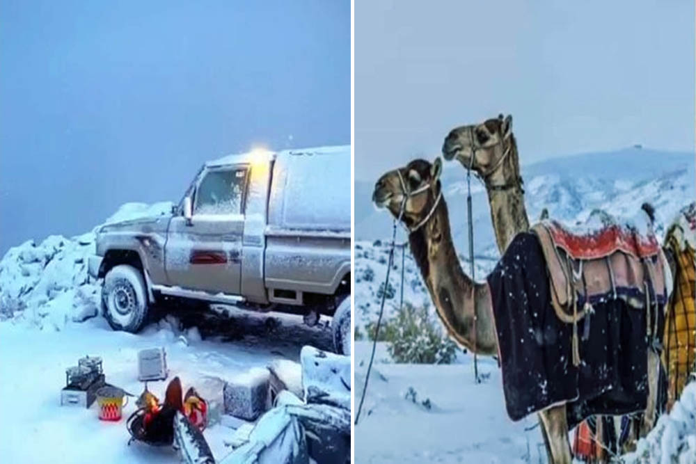 মরুভূমির দেশ সৌদি আরব সাক্ষী হলো বিরল তুষারপাতের