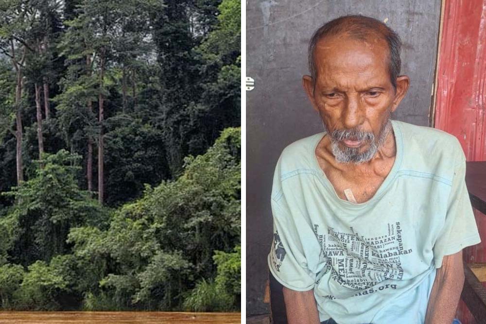 ২৭ বছর কেটে গেল মালয়েশিয়ার জঙ্গলে, অবশেষে মানসিক ভারসাম্যহীন অবস্থায় দেশে ফেরা